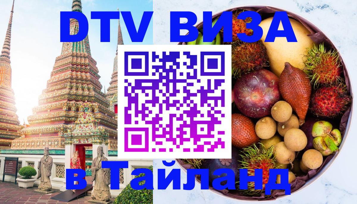 Сколько стоит DTV виза — актуальные цены, оформление даже без документов - 20.11.2025 